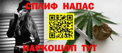 тгк Камышлов