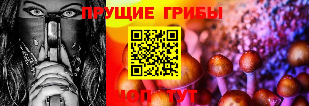 Псилоцибиновые грибы MAGIC MUSHROOMS Кашира